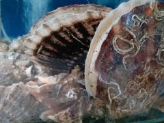 -雅逸居海鲜小厨