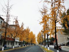 -四川大学(望江校区)