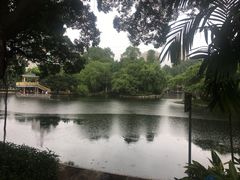 -晓港公园
