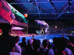-大连圣亚海洋世界