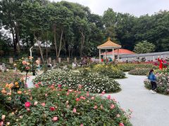 -人民公园(罗湖区)