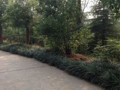 -禹州森林植物园