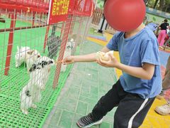 -银川动物园