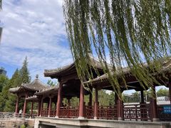 -元大都城垣遗址公园