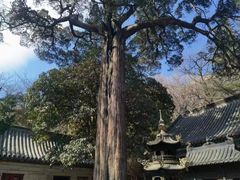 -青岛崂山太清宫