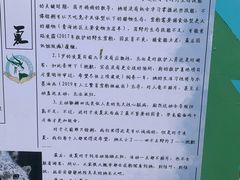 -青藏高原野生动物园