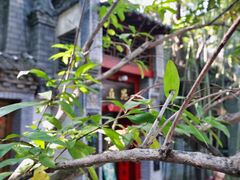 景观位-老张烤羊(王哥庄店)