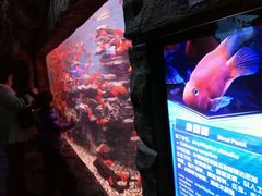 -多彩贵州城极地海洋世界