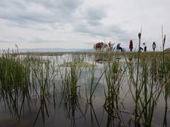 -青海湖国家重点风景名胜区