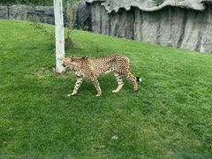 -北京野生动物园