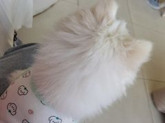 -怪兽屋·羊驼·猫咖·狗咖(俊华广场店)