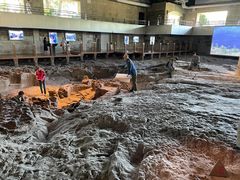 -自贡恐龙博物馆