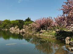 -白马涧龙池景区