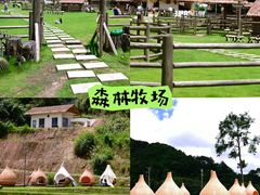 -龙岩森林水乡景区
