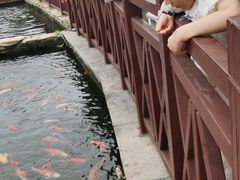 -董永七仙女文化园