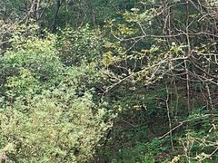 -大连冰峪旅游度假区