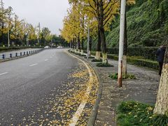 -鸿恩陶然大观园