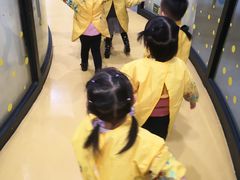 -杨梅红艺术教育(西安高新唐延教学中心)