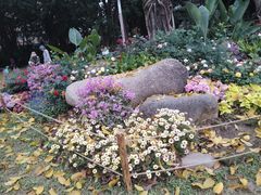 -人民公园(罗湖区)