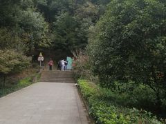 -上海佘山国家森林公园天马山园