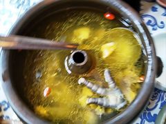-云海肴·汽锅鸡·云南菜(南强街店)
