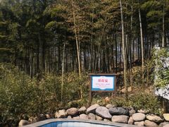 -江南天池高山汤泉城