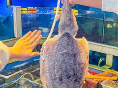 -东江海鲜大排档·潮汕菜·砂锅粥