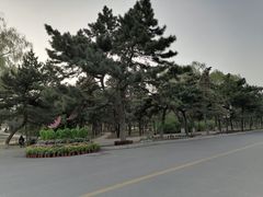 -北陵公园