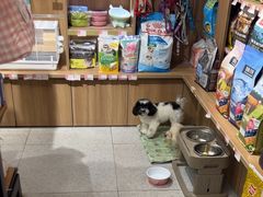 -FAELING PETS美天灵宠物(富力广场店)