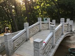 -燕窝岭