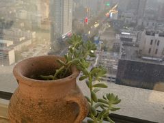 -星美科技皮肤管理中心(国贸店)