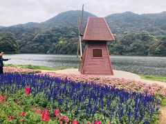 -广州市石门国家森林公园