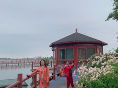 -鹅湖玫瑰文化园