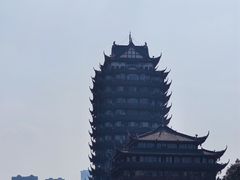 -眉山湿地公园(东坡区)