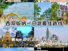 -西双版纳原始森林公园
