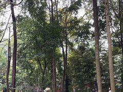 -成都杜甫草堂博物馆