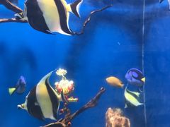 -烟台海昌鲸鲨海洋公园