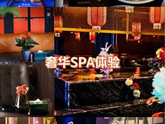 -索拉古贝(义乌北苑店)