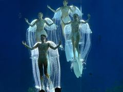 -合肥海洋世界