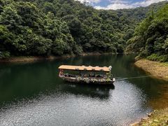 -鼎湖山风景区
