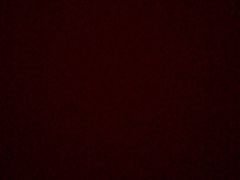 -广州粤海喜来登酒店