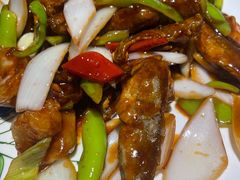 -大胡同天津菜·海肠捞饭·津门皮皮虾锅贴一绝(西姜井店)