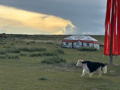 -青海湖国家重点风景名胜区