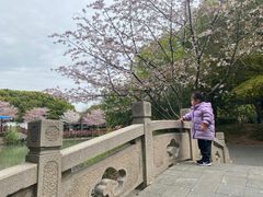 -玉山公园