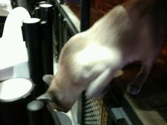 -MIKAKU(万达广场上海宝山店)