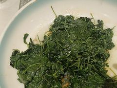 -松沪名灶·豆浆鱼头·新上海菜(飞航吾悦广场店)