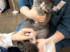 -联合动物医院(光谷诊疗中心)