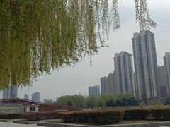 -长白岛森林公园