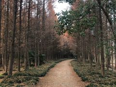 -上海市保健医疗中心