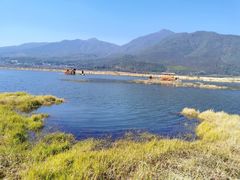 -腾冲北海湿地
